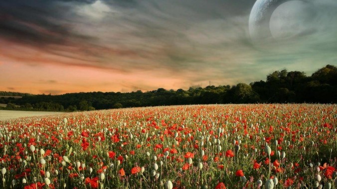 你在出租房屋发现过什么前租客留下的&ldquo;宝藏&rdquo;？